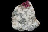 Roselite Crystals on Dolomite - Morocco #74298-2
